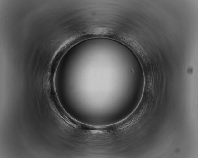 X0000098180392200804241226