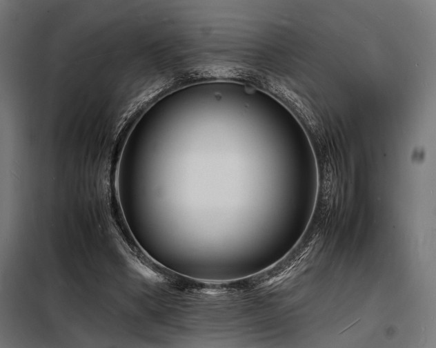 X0000098180394200804241226