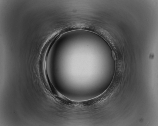 X0000098180395200804241226