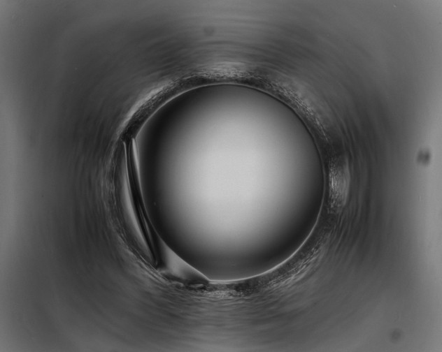 X0000098180396200804241226