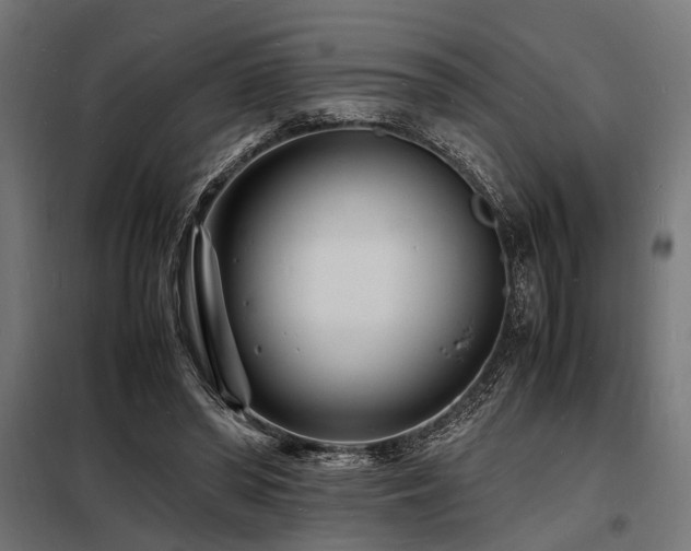 X0000098180398200804241226