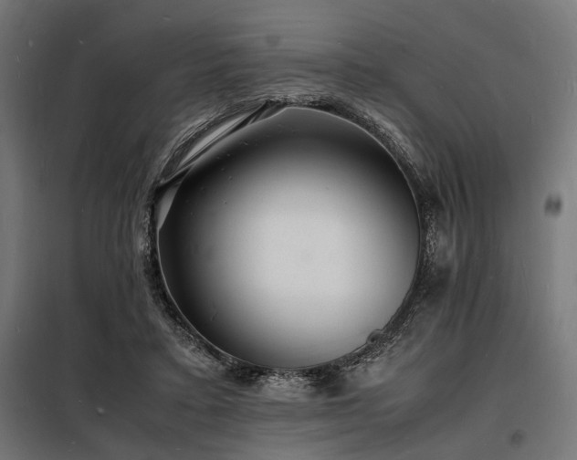 X0000098180403200804241226