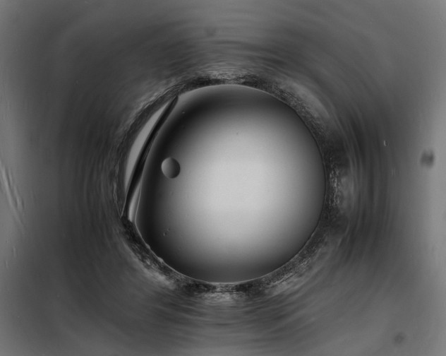 X0000098180404200804241226