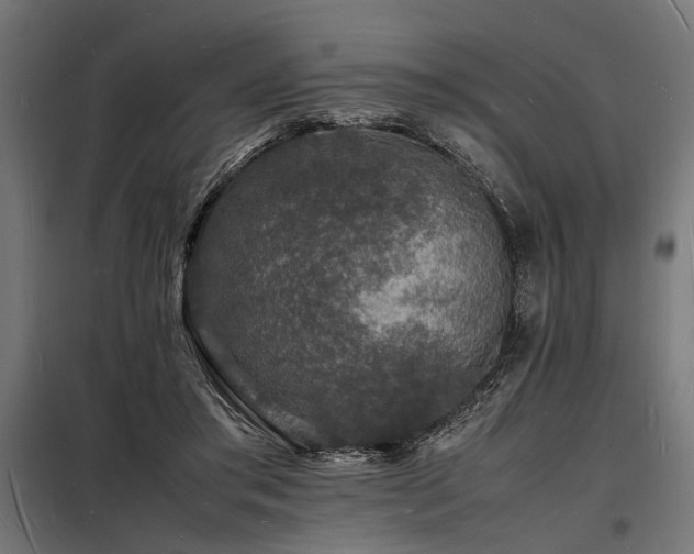 X0000098180405200804241226