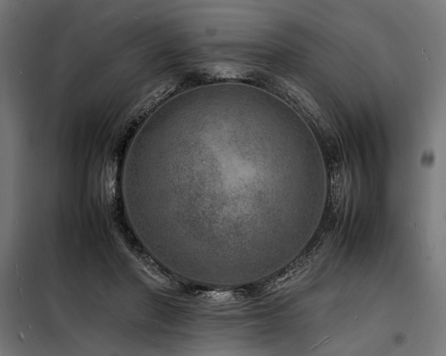 X0000098180406200804241226
