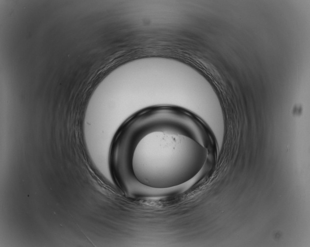 X0000098180409200804241226