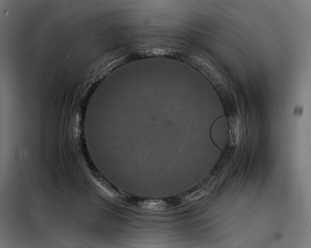 X0000098180410200804241226
