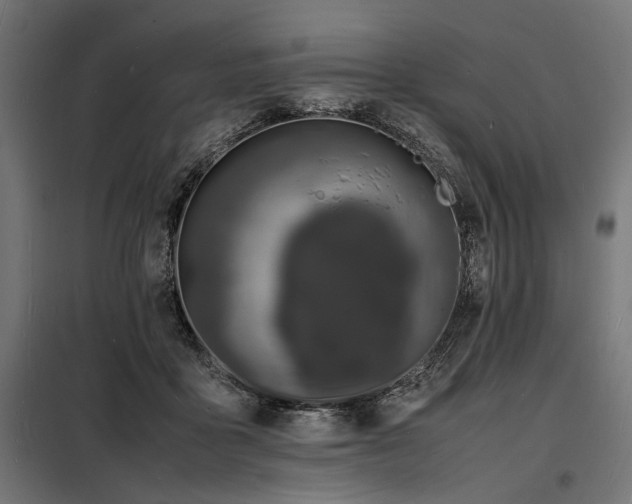 X0000098180411200804241226