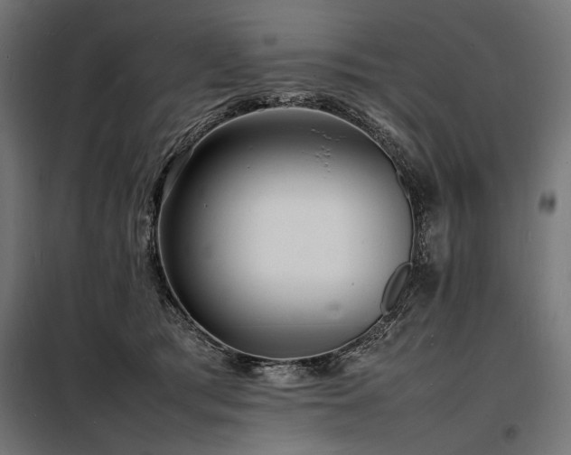 X0000098180417200804241226