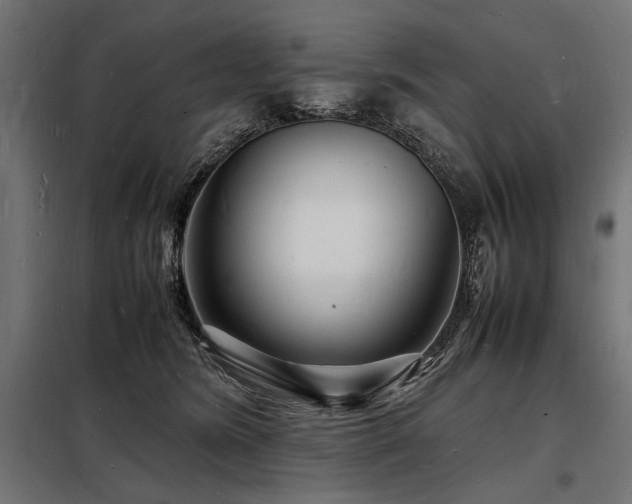 X0000098180420200804241226