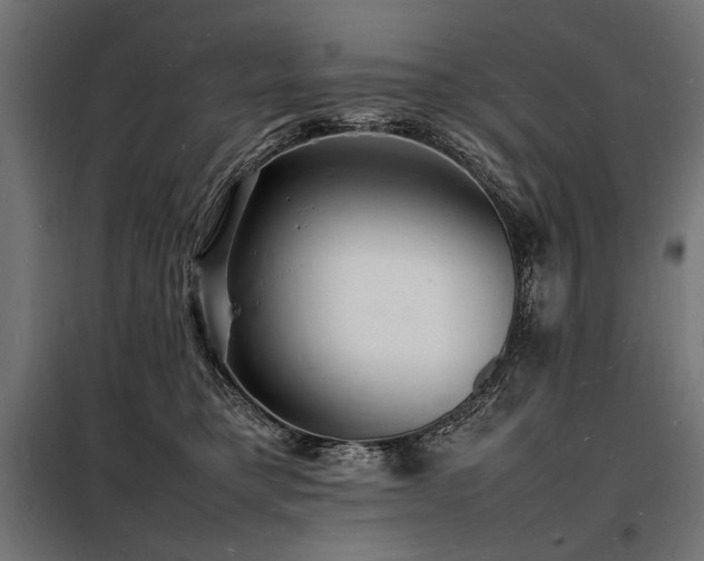 X0000098180421200804241226