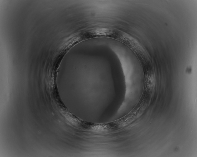 X0000098180422200804241226