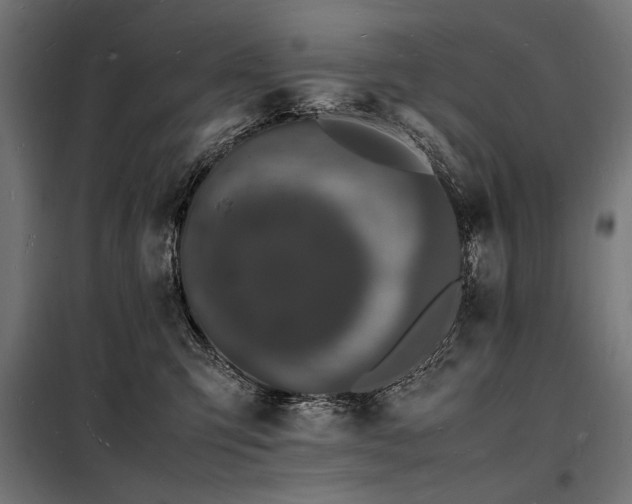 X0000098180423200804241226