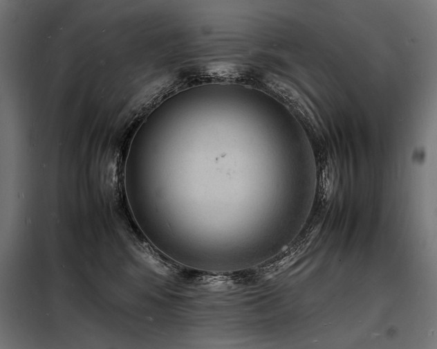 X0000098180424200804241226