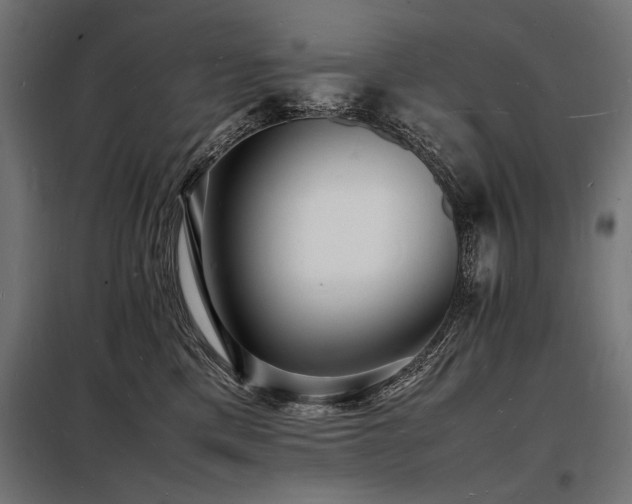 X0000098180425200804241226