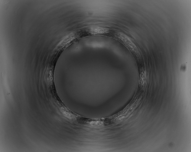 X0000098180426200804241226
