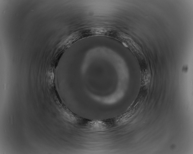 X0000098180427200804241226