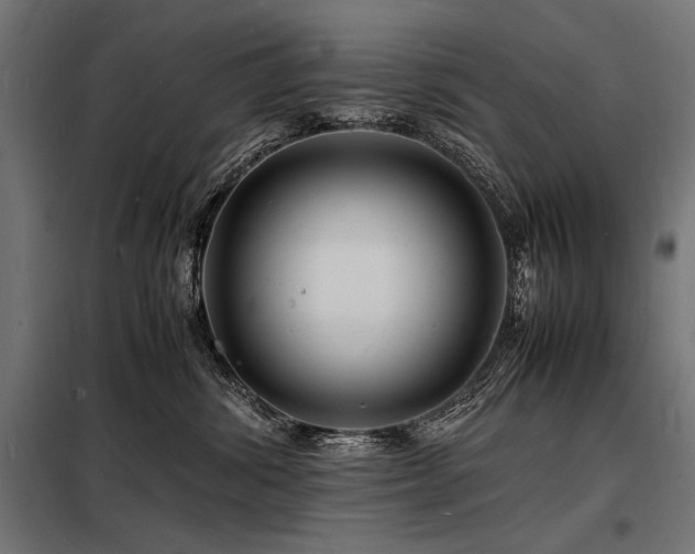 X0000098180428200804241226