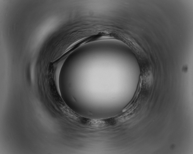X0000098180429200804241226