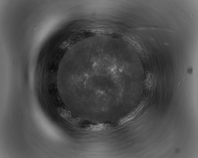X0000098180430200804241226