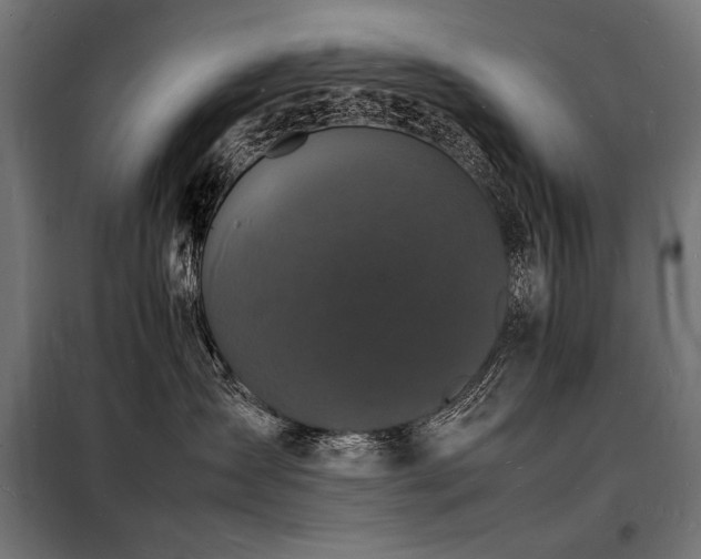 X0000098180431200804241226