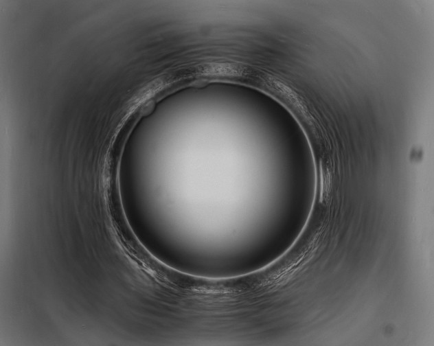 X0000098180435200804241225