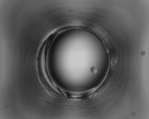 X0000098180436200804241225
