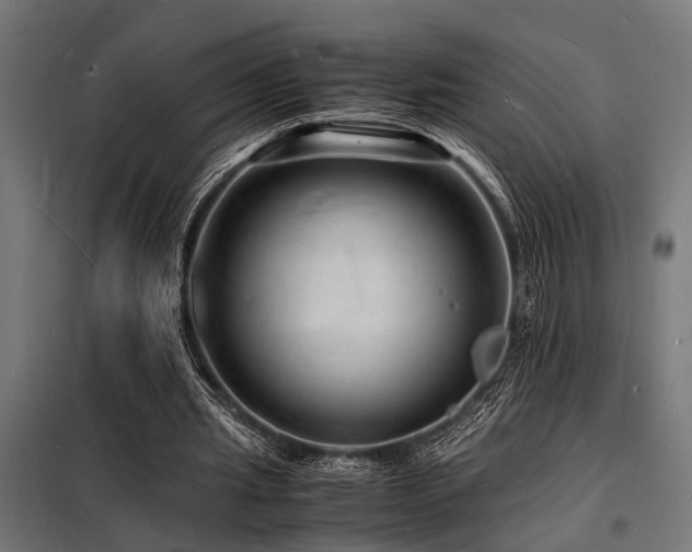 X0000098180437200804241225