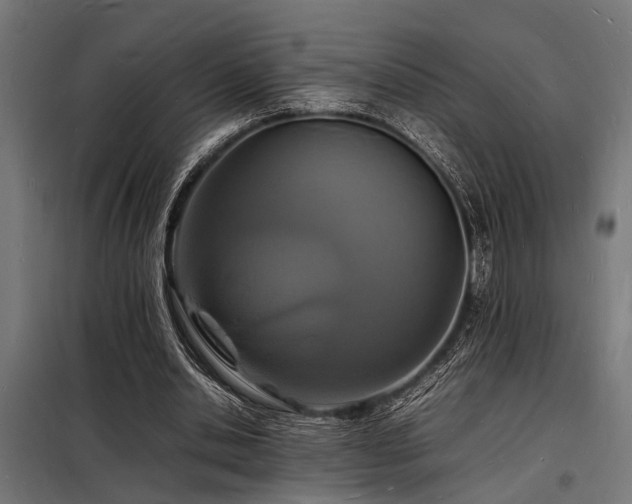 X0000098180438200804241225