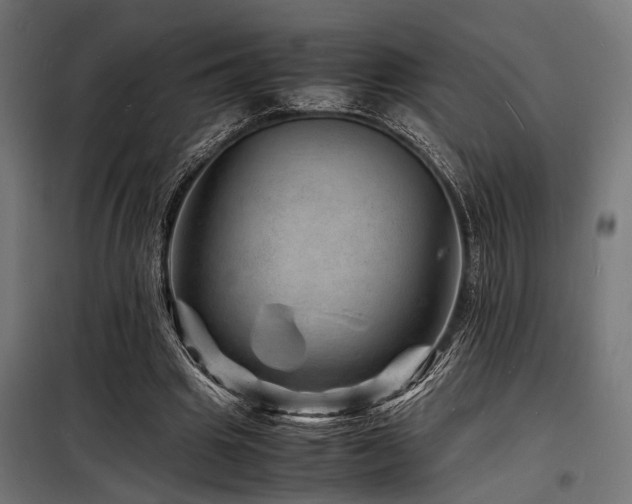 X0000098180441200804241225
