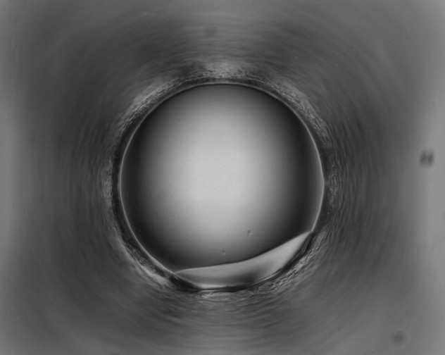 X0000098180442200804241225