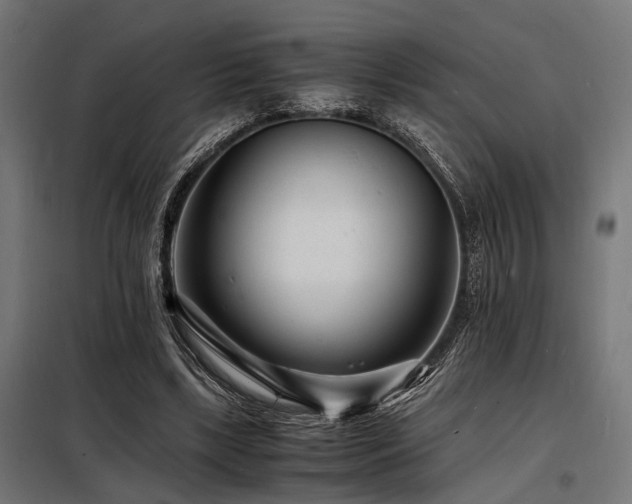 X0000098180443200804241225