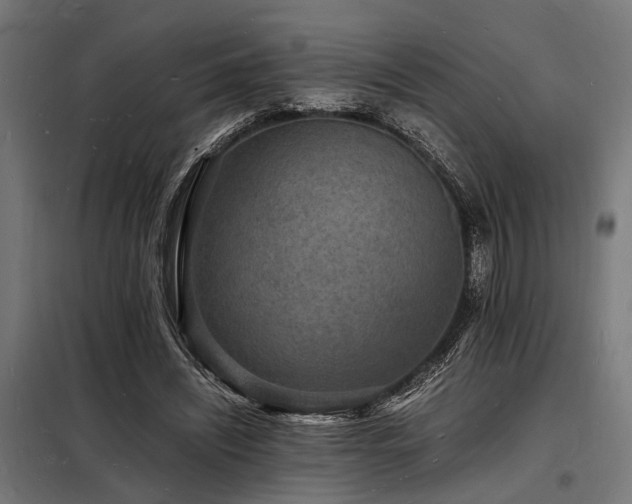 X0000098180444200804241225