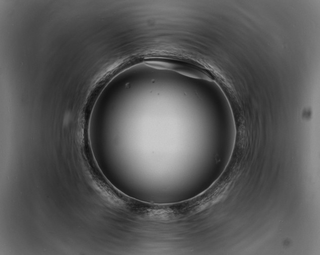 X0000098180446200804241225