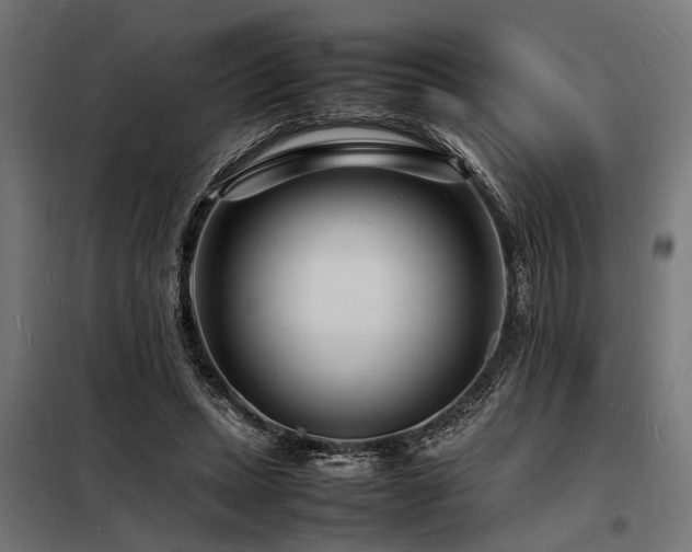 X0000098180447200804241225