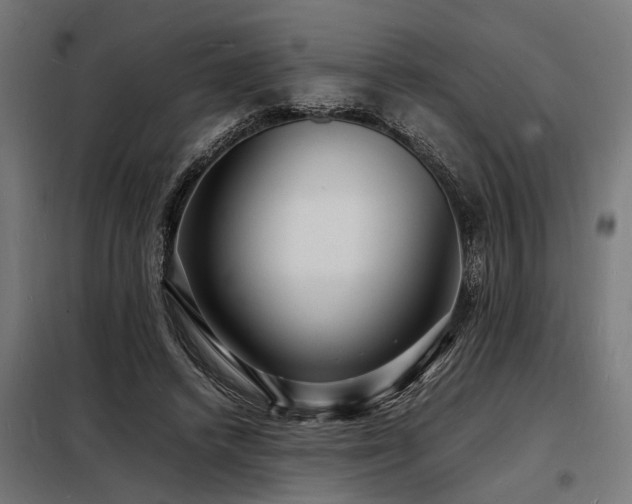 X0000098180448200804241225