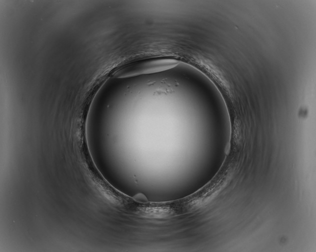 X0000098180449200804241225