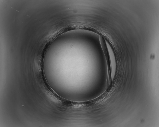 X0000098180450200804241225