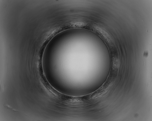 X0000098180451200804241225
