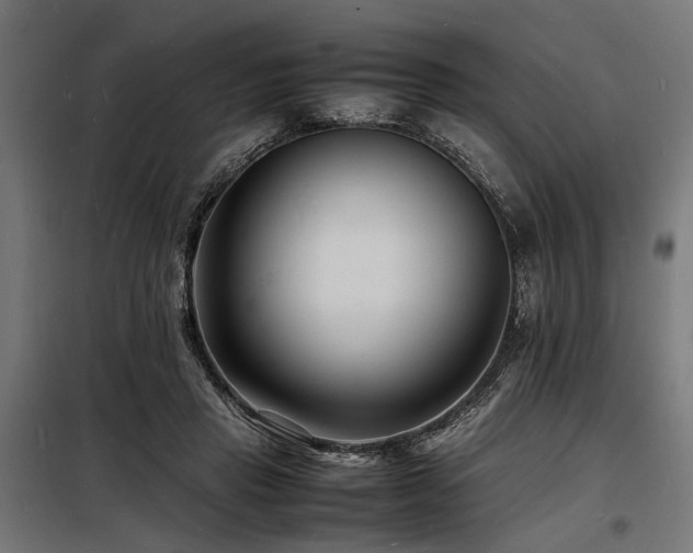 X0000098180453200804241225