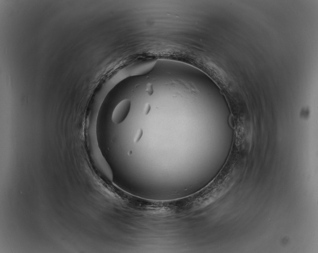X0000098180454200804241225