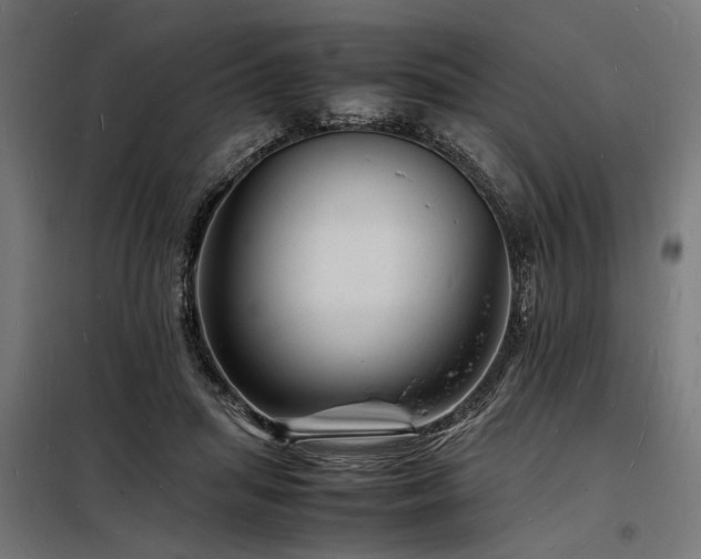 X0000098180455200804241225