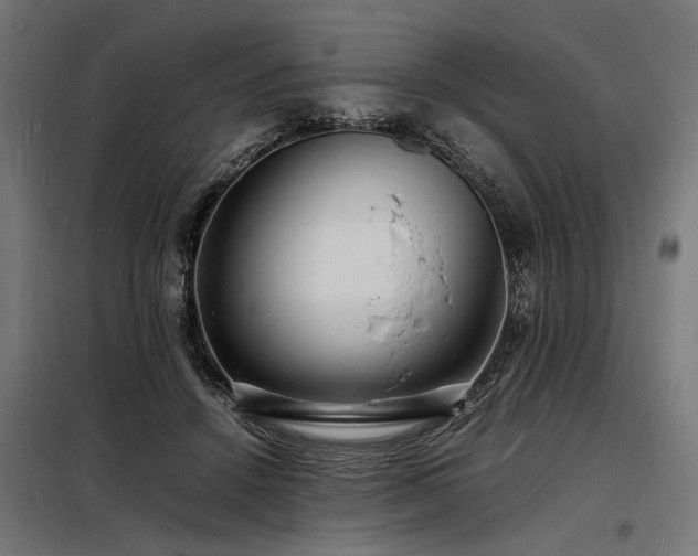 X0000098180456200804241225