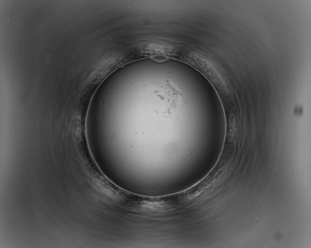 X0000098180457200804241225