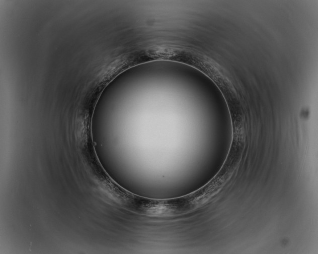X0000098180460200804241225