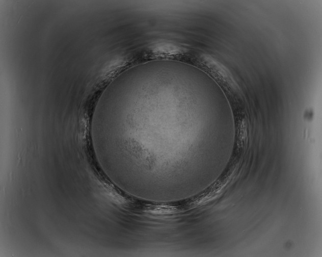 X0000098180463200804241225