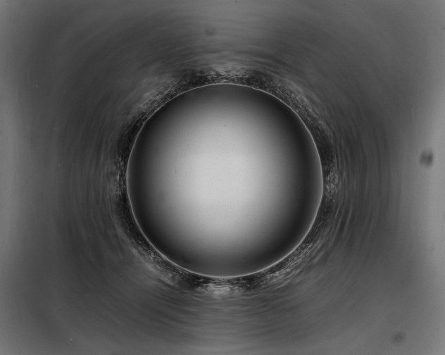 X0000098180464200804241225