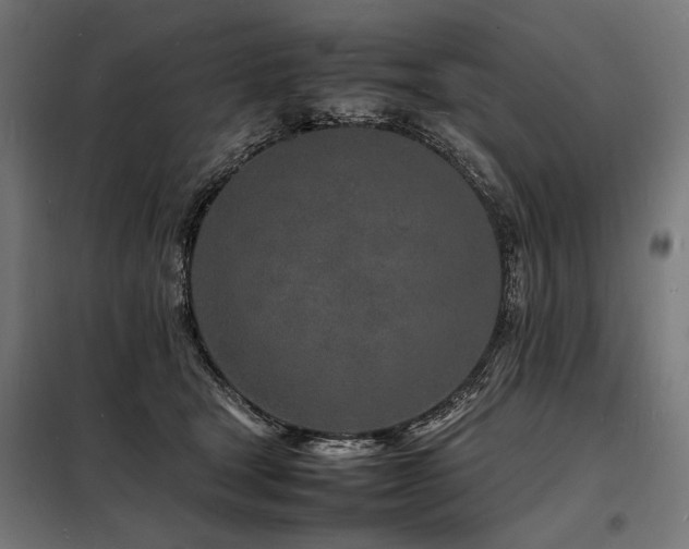 X0000098180465200804241225