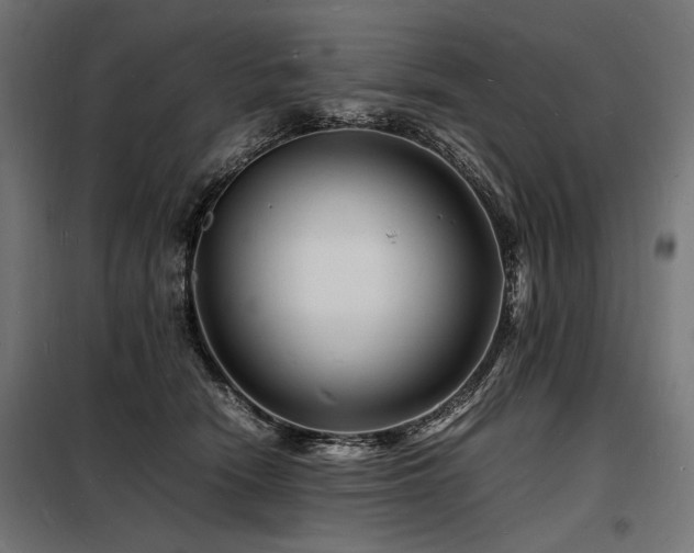 X0000098180466200804241225