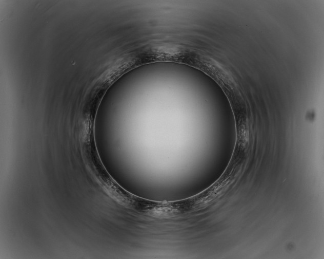 X0000098180468200804241225